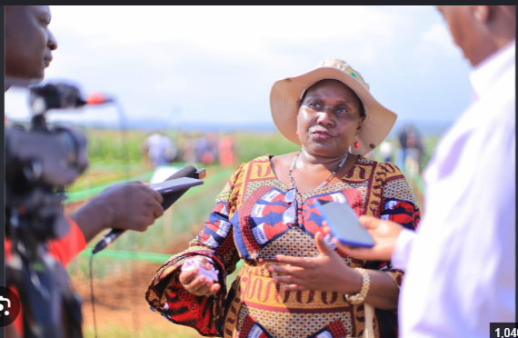 Government Pushes Quick-Maturing & Drought-Tolerant Seeds + Irrigation